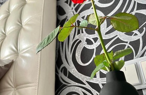 Ternopil Apartamento | Relax. Просторі та затишні апартаменти
