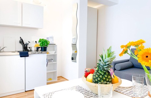 Aachen Apartamento | Relax Aachener Boardinghouse Premium 1 App 5