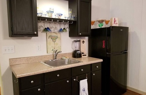 Wildwood Point Casa | Relax among the palms at Reeled Inn on Beautiful Lake Gaston