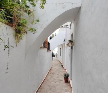 Alcala de los Gazules Apartamento | Relax entre montaña y playa