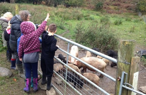 Llanybydder Cabaña | Relax in Mountain View Cottage at Cwmiar Farm