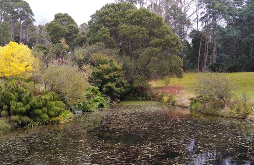 Branxholm Cabaña | Relax in stunning private gardens and explore Tasmania's North East