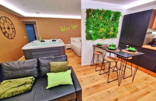 Muntzenheim Apartamento | RELAX SPA-4 Pers-Jacuzzi-Parking-Jardin-Clim-Colmar