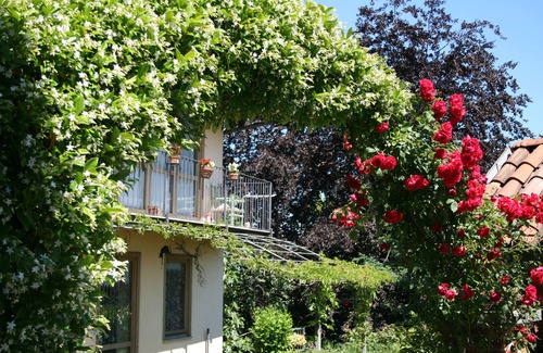Roletto Casa | Vrbo Property