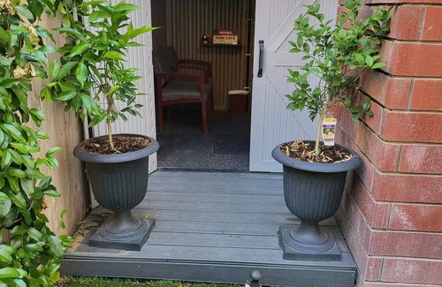 Porterville Casa | Relaxation meets comfort HERE at Redwood Inn