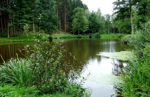 Ohlenhard Apartamento | Relaxen am Rosenbusch