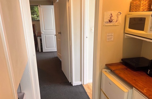 Remuera Apartamento | Relaxing Getaway, Close to Hospital & Amenities - Rabbit Cuddles Included!