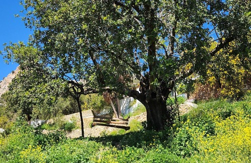 El Chorro Casa | Relaxing, hiking, climbing in El Chorro