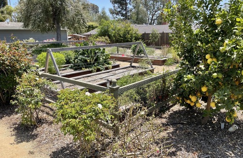Camarillo Casa | Relaxing Ranch Style House with Garden and Orchard