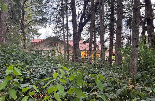 Corvallis Casa | Remodeled basement in Corvallis, surrounded by forest and trails!