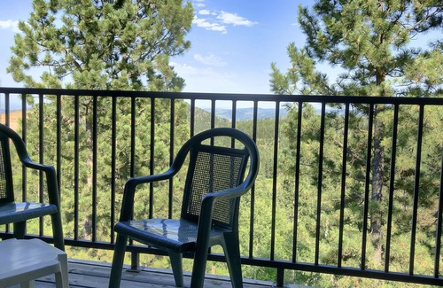 Lead Condominio | Remodeled Fully Furnished Barefoot Resort Condo at Terry Peak South Dakota!