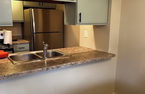 Waconia Casa | Remodeled 2+ BR townhome - Close to The Hospital - Lake - Quaint Downtown