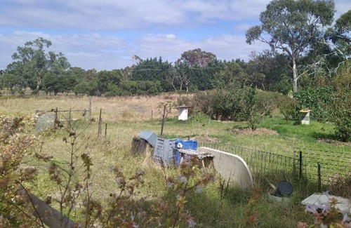 Pearcedale Otro | Farm stay in a beautiful location.
