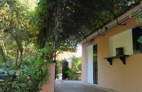 Vasilikos Casa | Renard Bleu Homes