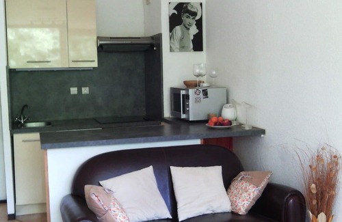 Saint-Pierre-dels-Forcats Apartamento | Apartamento reformado de 35 m2 con orientación sur