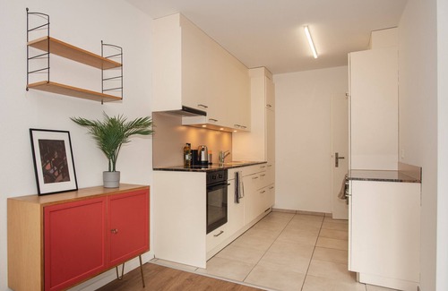 Matthaus Apartamento | Renovated Designer Studio in Central Basel with free BaselCard
