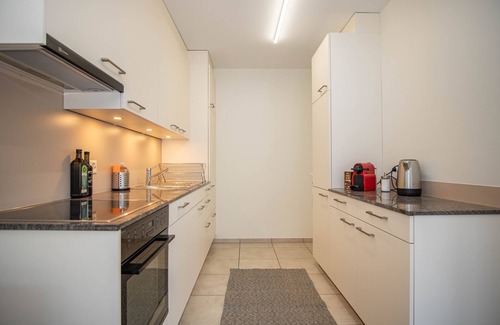 Vorstadte Apartamento | Renovated Designer Studio in Central Basel with free BaselCard