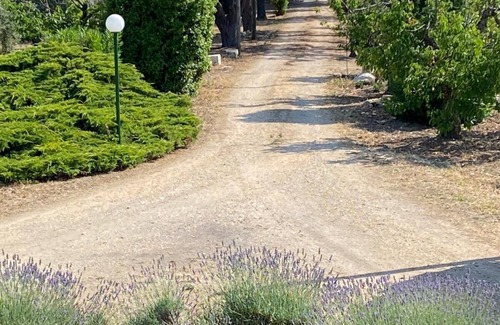 Corato Casa | Renovated old farmhouse among olive trees and vineyards with outdoor hot tub