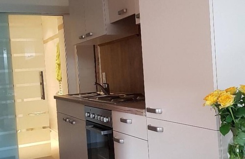 Bodenmais Apartamento | Apartamento reformado con terraza, aktivCARD