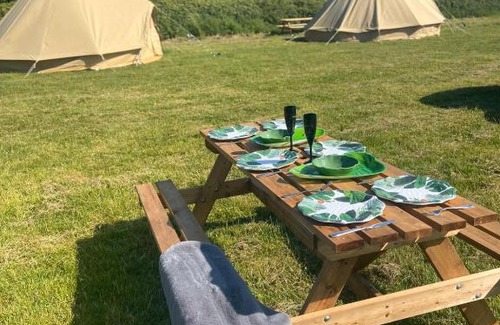 New Forest District Otro | Rent a Tent
