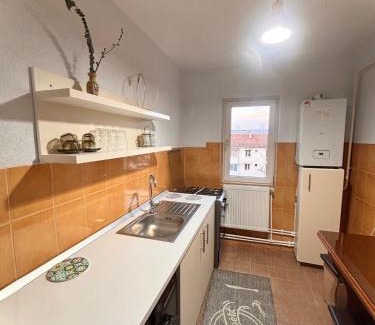 Barlad Apartamento | Rent Apartments Barlad 2