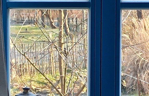 Laasow Apartamento | Alquiler-Estándar-Baño Privado-Vista al Jardín-Klinkerhaus Altenteil