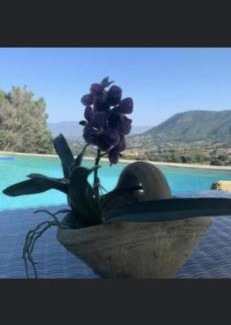 Appietto Casa | Residence Paradisu Ajaccio
