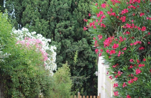 Salon-de-Provence Apartamento | VILLA GLANUM en PROVENCE - Meublé Tourisme **** 2017 - Lovely Provence!