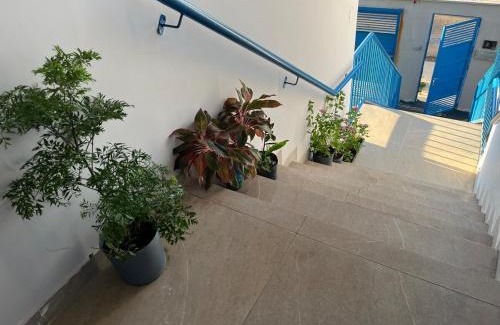 Plano Diretor Sul Apartamento | Residencial Jasmim Apto 03