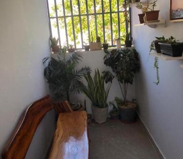 Plano Diretor Sul Apartamento | Residencial Jasmim Apto 4