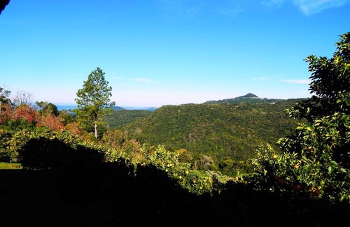 Gramado Cabina | Residencial Serra Grande Gramado
