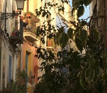 Benijofar Casa | Residentie les ortigues