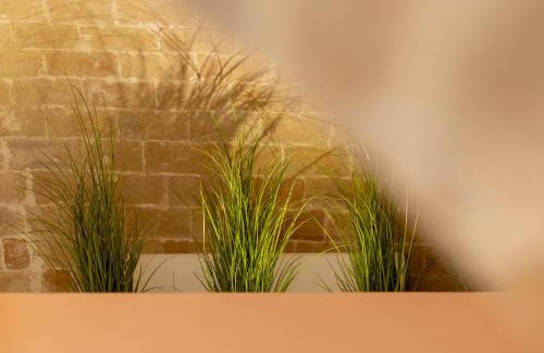 Termoli Cama Y Desayuno | Residenza Anna