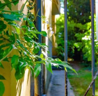 Cittadella Apartamento | Residenza Bolzoni Oliva