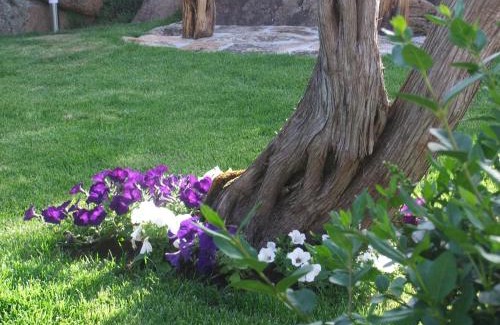 Abbiadori Cama Y Desayuno | Residenza Nialiccia