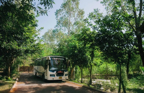 Bhadravathi Complejo | Resort in Tadoba, Moharli