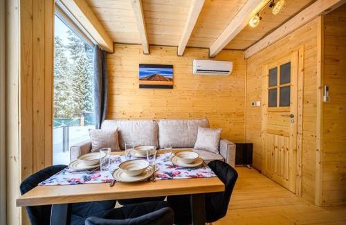 Jelesnia Apartamento | Resort Rykowisko DeLuxe No 3