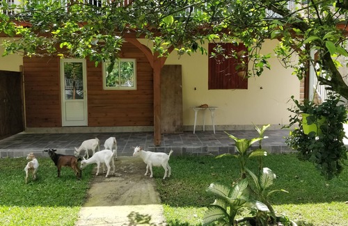 Les Abymes Casa | Rest and relaxation in nature (2/2)