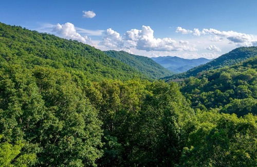 Sylva Casa | Rest on the Rocks - A Charming home nestled in a canopy of forest trees and mountain rocks!