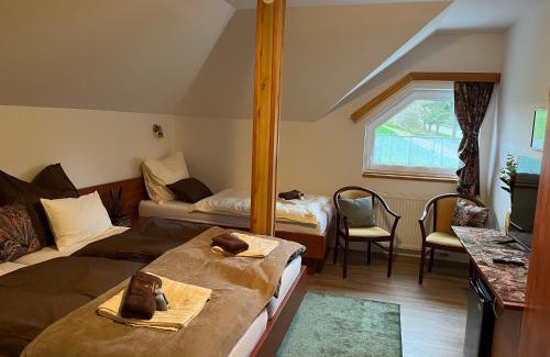 Orlik nad Vltavou Hotel | Restaurace Staré Sedlo