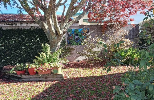 Hamilton Apartamento | Restful garden studio in Central Hamilton