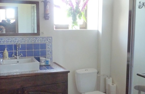 Roeze-sur-Sarthe Casa | Casa familiar restaurada - Gran salón y su baño privado.