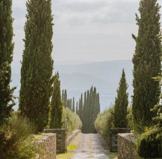 Arezzo Casa | Restored Farmhouse In The Arezzo Hills
