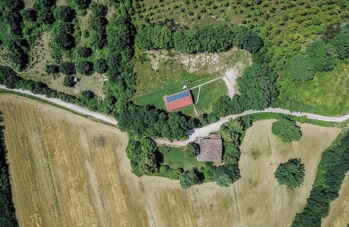 Ponte d'Assi Casa | Retino - Ivy - Mini apartment immersed in the greenery of the Tenuta di Fassia
