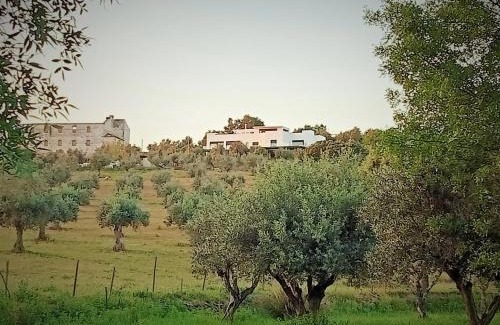 Crato Casa | Retiro da cegonha