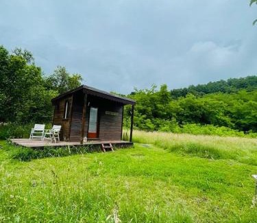 Buchin Complejo | Retreat în padure
