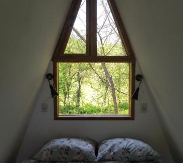 Buchin Complejo | Retreat în padure