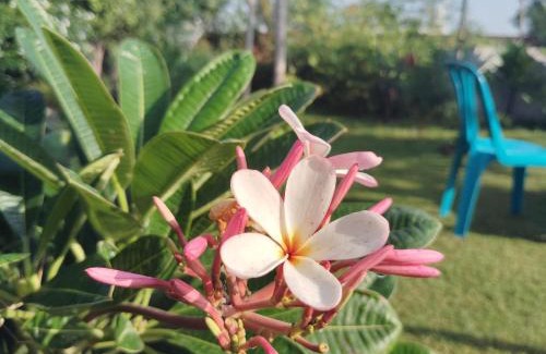 Gurugram Casa | Retreat by Walias Entire Farm Pet-Friendly Sports