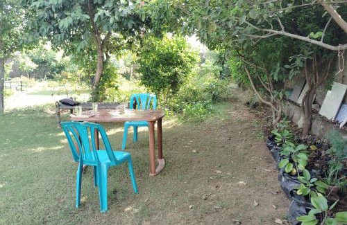 Gurugram Casa | Retreat by Walias Entire Farm Pet-Friendly Sports