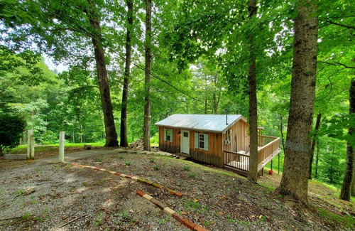 Smithville Cabina | Retreat to Your Private Haven in the Trees